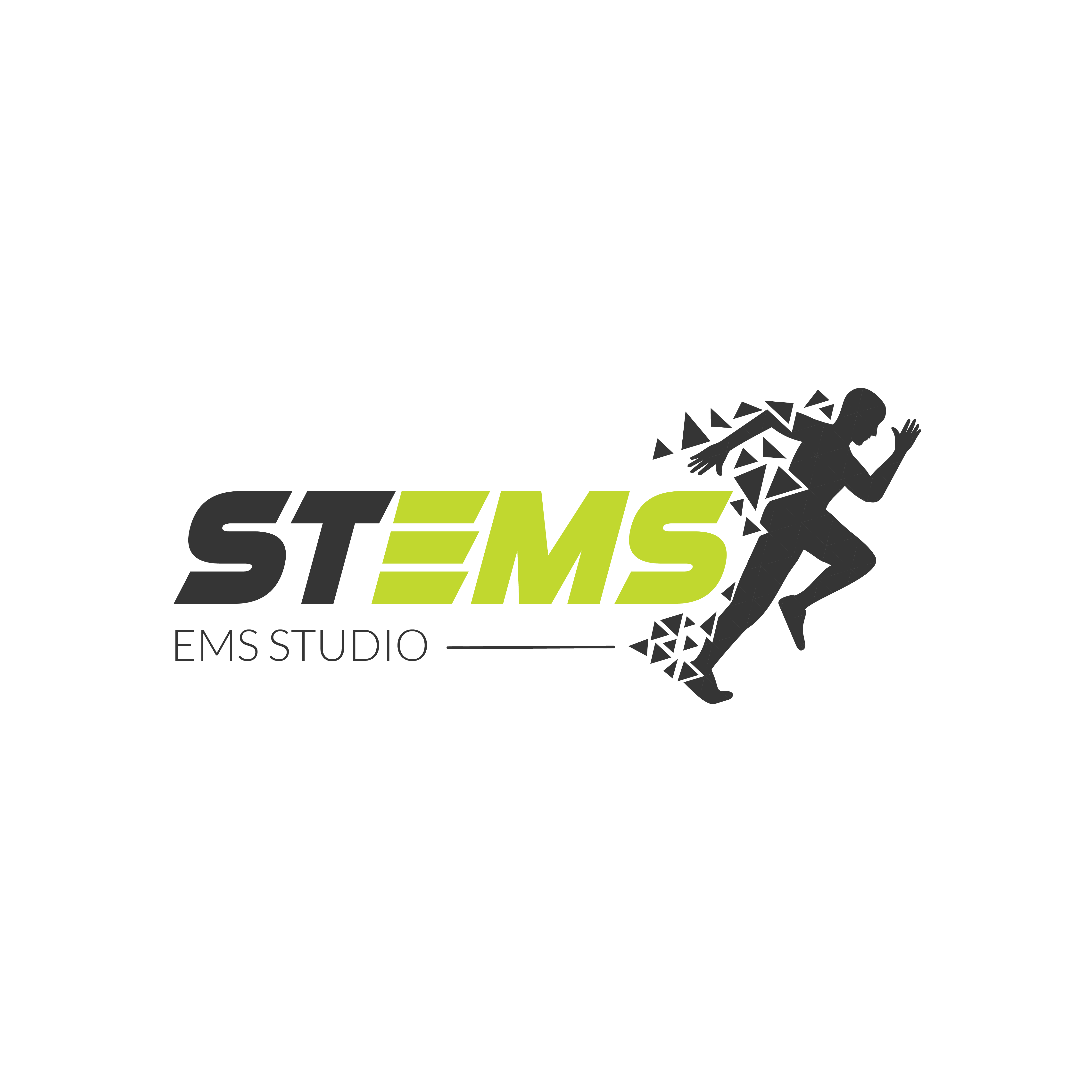 stems logo final 01 1